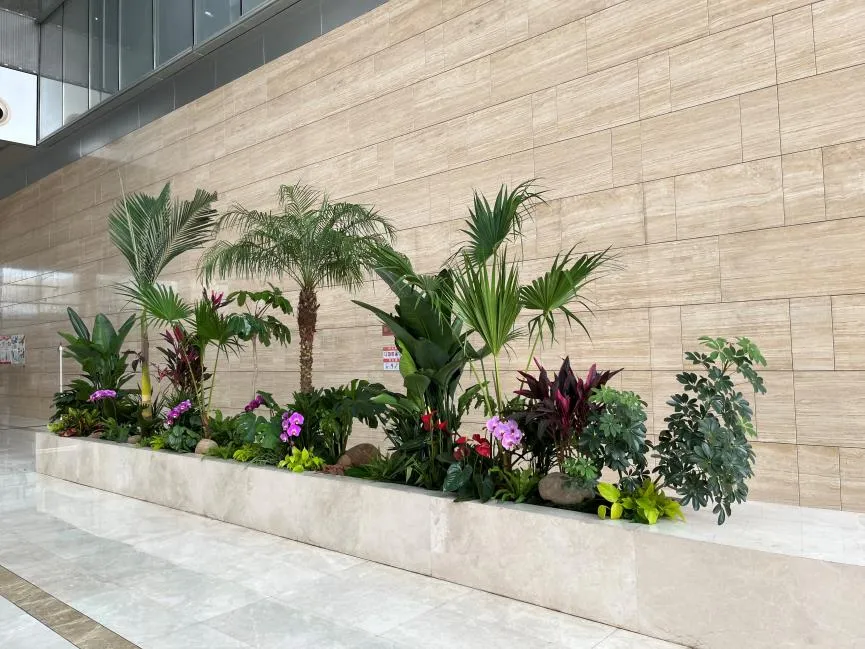 价格实惠的盆景租摆，就在宁波北仑！