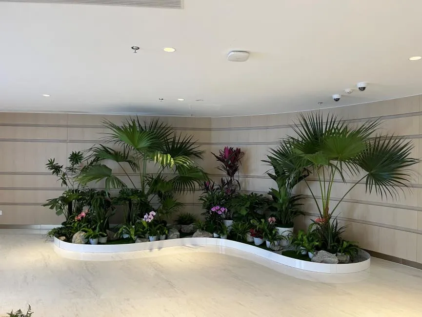 鄞州花卉租摆服务好